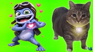 OIIAOIIA CAT & CRAZY FROG - Spinning Cat (TECHNO - Synthwave REMIX) Cat Brainrot Video - Fastlove
