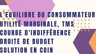 TD-Microéconomie-EX8 : Le Consommateur, l'Utilité Marginale, Courbe d'indifférence, droite de budget