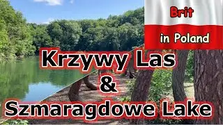 Emerald Lake & the Crooked Forest: Poland’s Strangest Blue & Twisted Wonders