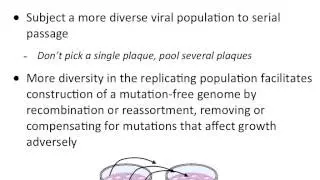 Virology 2012 Lecture #22: Evolution