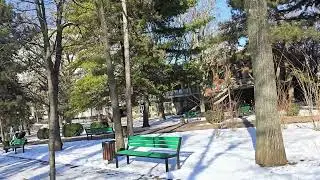 Январским морозным днём в центральном парке. 21.01.2026