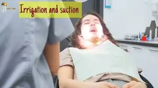 How to extract root tips.Test video