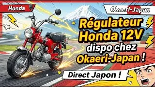 Presentation du regulateur Honda 12V pour mini4temps et Cubs