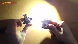 LED лампа Narva Range Performance LED HIR2/9012 6500K 24W 12/24V 18044
