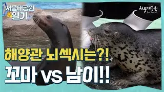 해양관 최고의 뇌섹시 친구는?! ㅣ 서울대공원 일기