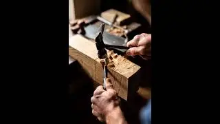 #outdoors #forestry #woodworking #logging #craft #work #shorts #chainsaw #nature #timber #handmade