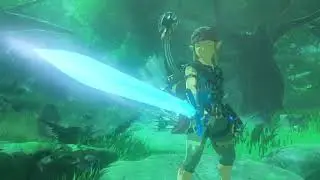 Botw Master Sword Fi sound.