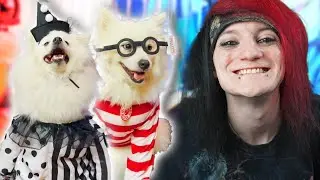 The CUTEST Dog Halloween Costumes