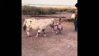 Future show Champ!