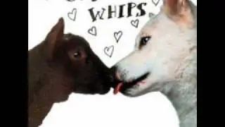 Coachwhips - you gonna get it