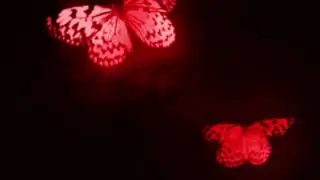 Avenged Sevenfold - 𝗴𝘂𝗻𝘀𝗹𝗶𝗻𝗴𝗲𝗿 (𝚜𝚕𝚘𝚠𝚎𝚍+𝚛𝚎𝚟𝚎𝚛𝚋)