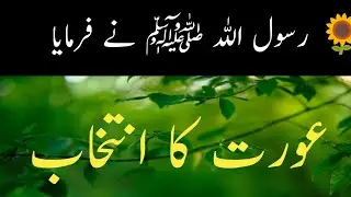 Aurat ka intikhab#allah #islamicscripture #hadith #motivation #fypシ゚viral #charwelo voice