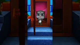 my talking cat Bob 😅 funny #shorts