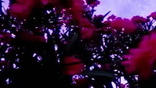 18min PIANO SOLO 피아노 tema instrumental ピアノ m&uacute;sica ambiental lo-fi minimal classical पियानो dark jazz