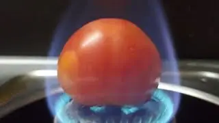EXPERIMENT VIDEO ! FIRE VS TOMATO ! AMAZING EXPERIMENTS ! THE GALAM