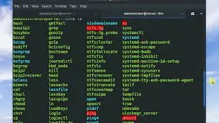 Debian 9 Server 006 Ls Cd Nano Rm