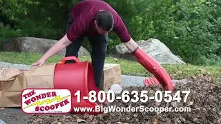 The Big Wonder Scooper - 60 Spot