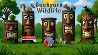 The Squirrel Show is LIVE | Scotty's Birds and Beasts