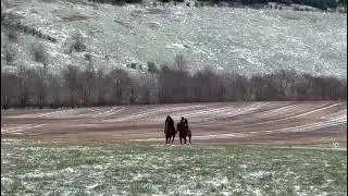 And She Was working on a cold Tuesday morning 