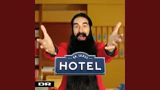 Hr. Skægs Hotel