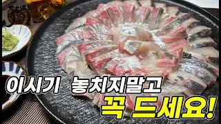 이 시기에 놓치지말고 꼭 드셔보세요! 제철보다 지금이  더 좋은 고오급진 생선회~