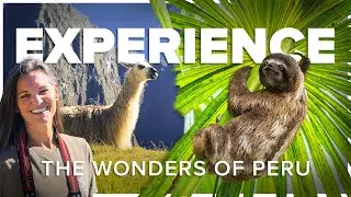 Experience Amazon & Machu Picchu