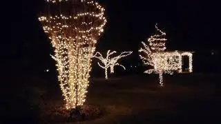 Christmas lights for my yard and the neighborhood common area 2021.
