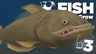 THE BIG CATFISH!! - Feed And Grow | Ep3