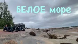 1 ноября 2024 г.