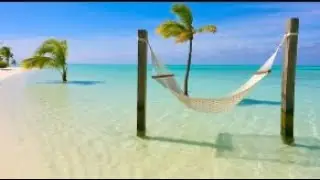 Tropical Private Beach Hammock Ambience with Peaceful Calm Ocean Sounds For Relaxation Study & Work