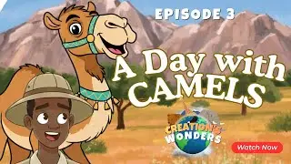 A DAY WITH CAMELS | CREATION'S WONDERS | EPISODE THREE