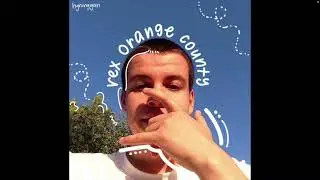 REX ORANGE COUNTY X PEACH PIT X INDIE ROCK TYPE BEAT 