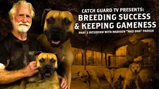 Madison Parker INTERVIEW PT. 2 BREEDING SUCCESS || KEEPING GAMENESS #pitbull #breeding