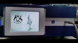 smartwave P 13 shockwave for veterinary Equine
