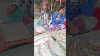 গোপালপুর বাজার আজকের মাছের দর সাবস্ক্রাইব করুন। Robin vlogs #fish # fishing #video viral 