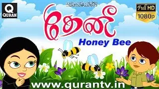 Islamic Cartoon அல்லாஹ்வின் அற்புத படைப்பான தேனீயில் உள்ள வியக்கத்தக்க அறிவியல்  அற்புதம் கார்டூனாக.