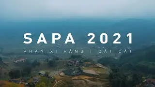 TRAVEL SAPA 2021 [ PHAN XI PĂNG | CÁT CÁT ] CINEMATIC