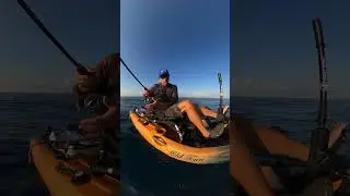 Video by thefishrustler  #aztrading #bluecrab #deltafishinglines #costarica #costaricafishing