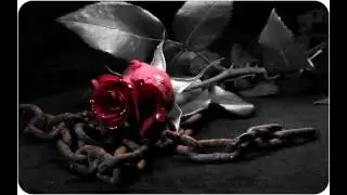 Kiss From A Rose, Seal. Vendetta String Quartet cover.(made better by Smolinka)