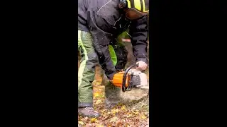The best teams in the canopy don&rsquo;t rely on luck.