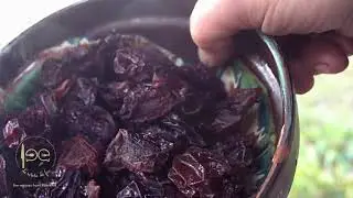 M&acirc;ncare de orez cu prune uscate (Cibo di riso con prugne  secche)