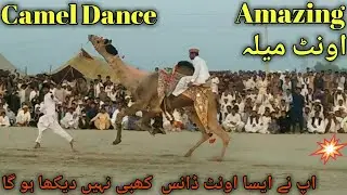 Nagaur Competitive Dance | New Camel racing Competition 2023 |  رقص الجمل
