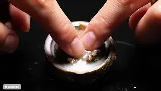 🔴 ASMR Live Abalone Cleaning | Intense Ocean Water Sounds for Relaxation (No Talking)