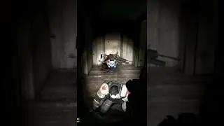 Invisible Grunts 🤯🗿 #halflife2 #shorts