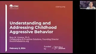 Understanding and Addressing Childhood Aggressive&nbsp;Behavior
