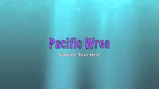 Birds Sounds of the Pacific Northwwest