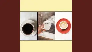 Alluring Study Days at Coffee Shops
