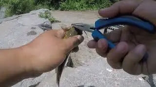 Family fishing at island lake, Orangeville | Chinguacousy Park