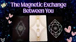 💍FUTURE SPOUSE💍The MAGNETIC Exchange Between You | PICK-A-CARD 