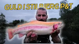 SPOT FISKERI EFTER GULDET I &Oslash;RREDS&Oslash;EN // NATURN&Oslash;RD 681